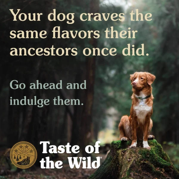 Taste Of The Wild Adult Wetlands Canine Recipe with Roasted Fowl - Image 5