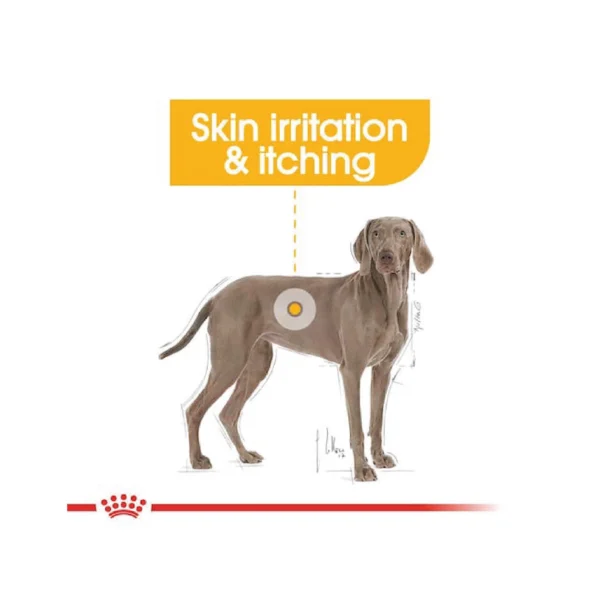 Maxi Dermacomfort Dry Dog Food 3kg - Image 6