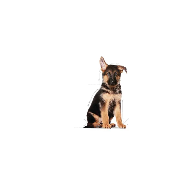 Maxi Puppy Dry Dog Food - Image 2