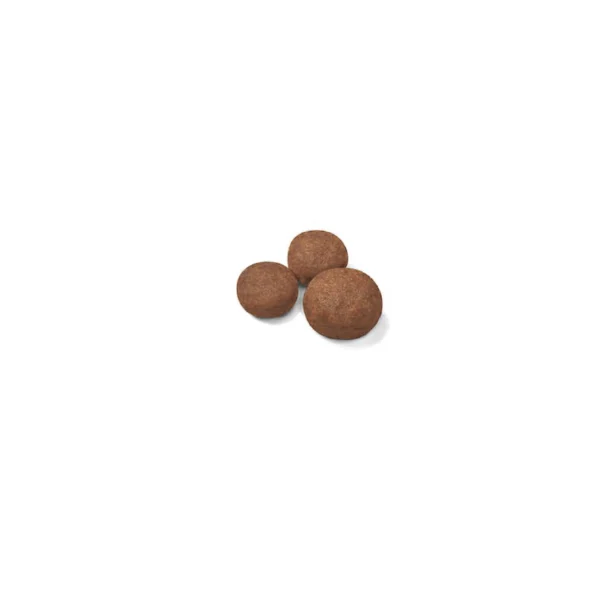 Medium Puppy Dry Dog Food - Image 2