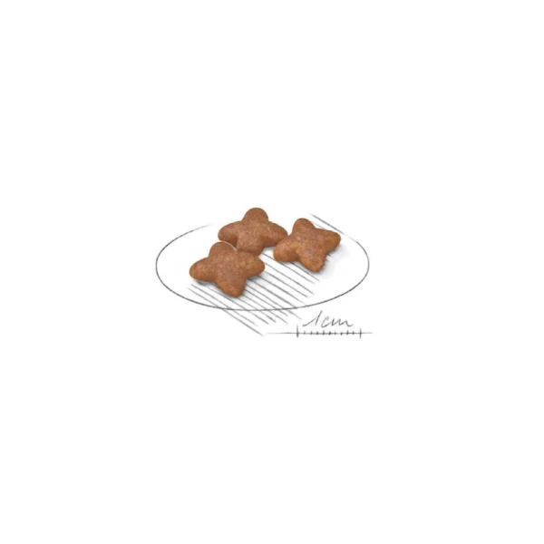 Mini Adult Dry Dog Food 4kg - Image 3