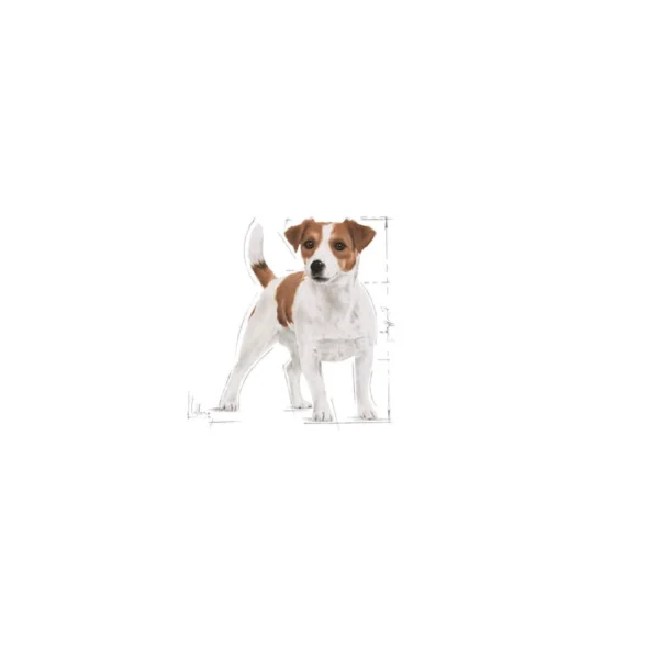 Mini Adult Dry Dog Food 4kg - Image 2
