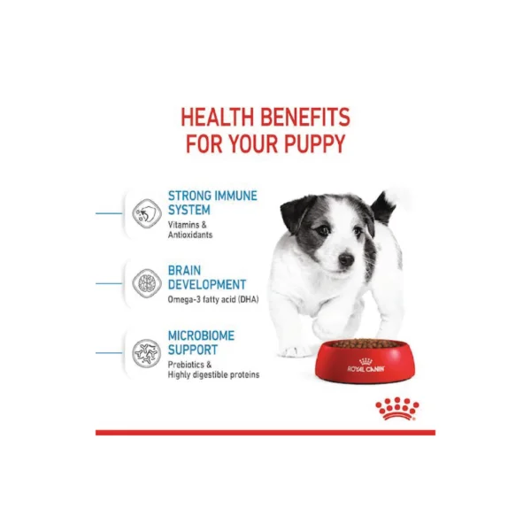 Mini Puppy Dry Dog Food 4kg - Image 7