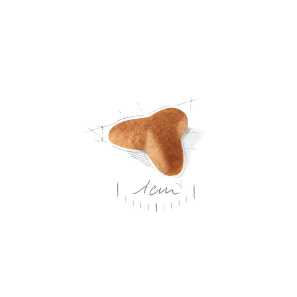 Pug Puppy Dry Dog Food - Image 8