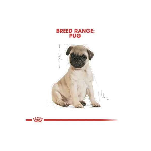 Pug Puppy Dry Dog Food - Image 6
