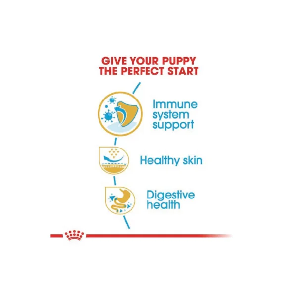 Pug Puppy Dry Dog Food - Image 5