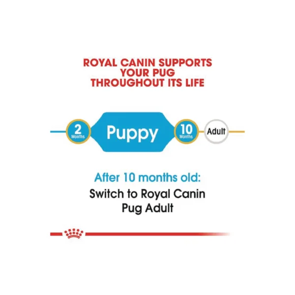 Pug Puppy Dry Dog Food - Image 3
