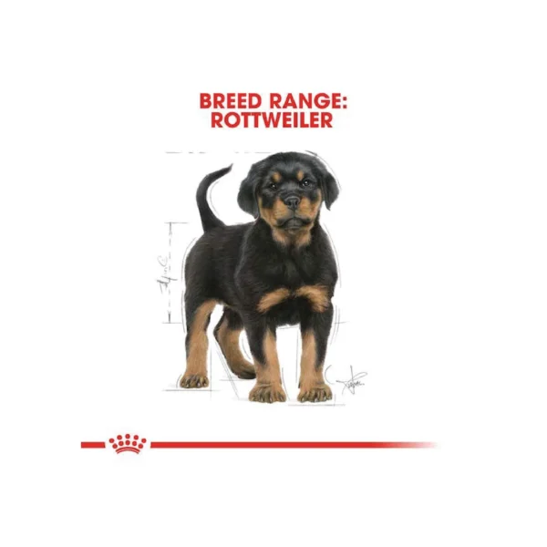 Rottweiler Puppy Dry Dog Food 3KG - Image 4