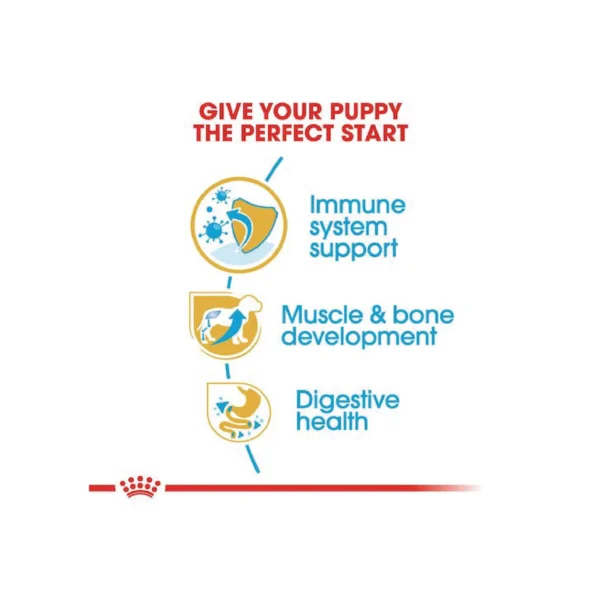 Rottweiler Puppy Dry Dog Food 3KG - Image 5