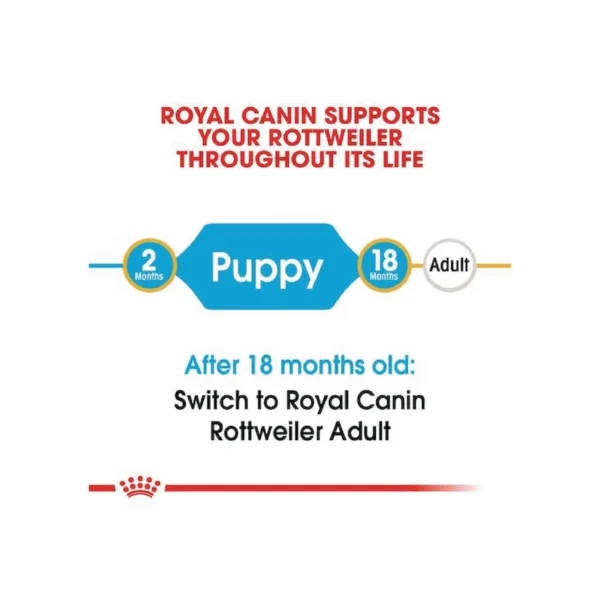 Rottweiler Puppy Dry Dog Food 3KG - Image 7