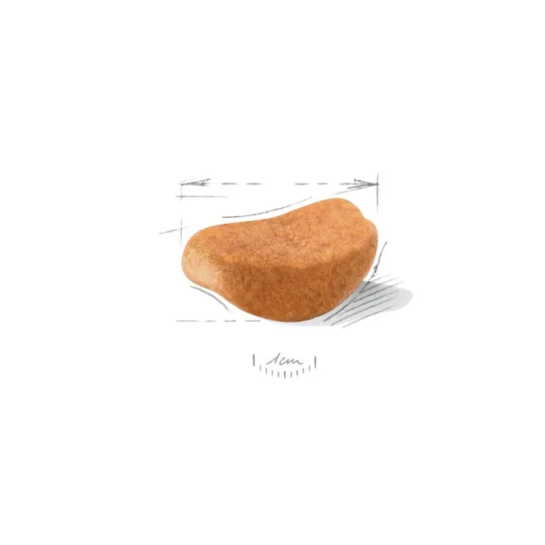 Rottweiler Puppy Dry Dog Food 3KG - Image 2