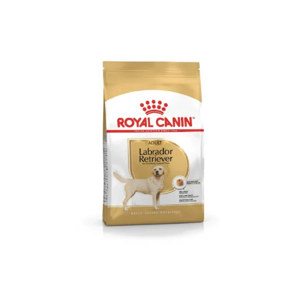 Labrador Retriever Adult Dry Dog Food