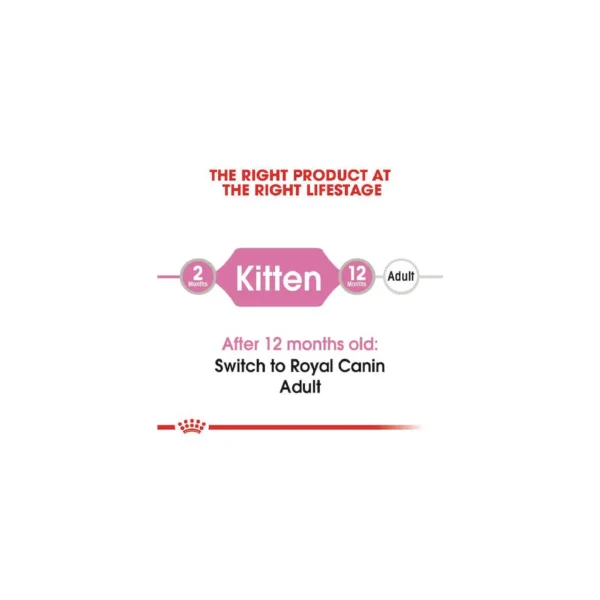 Kitten Jelly Cat Food 85g - Image 5