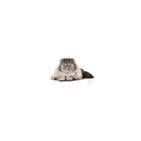 Persian Adult Dry Cat Food 2kg - Image 2