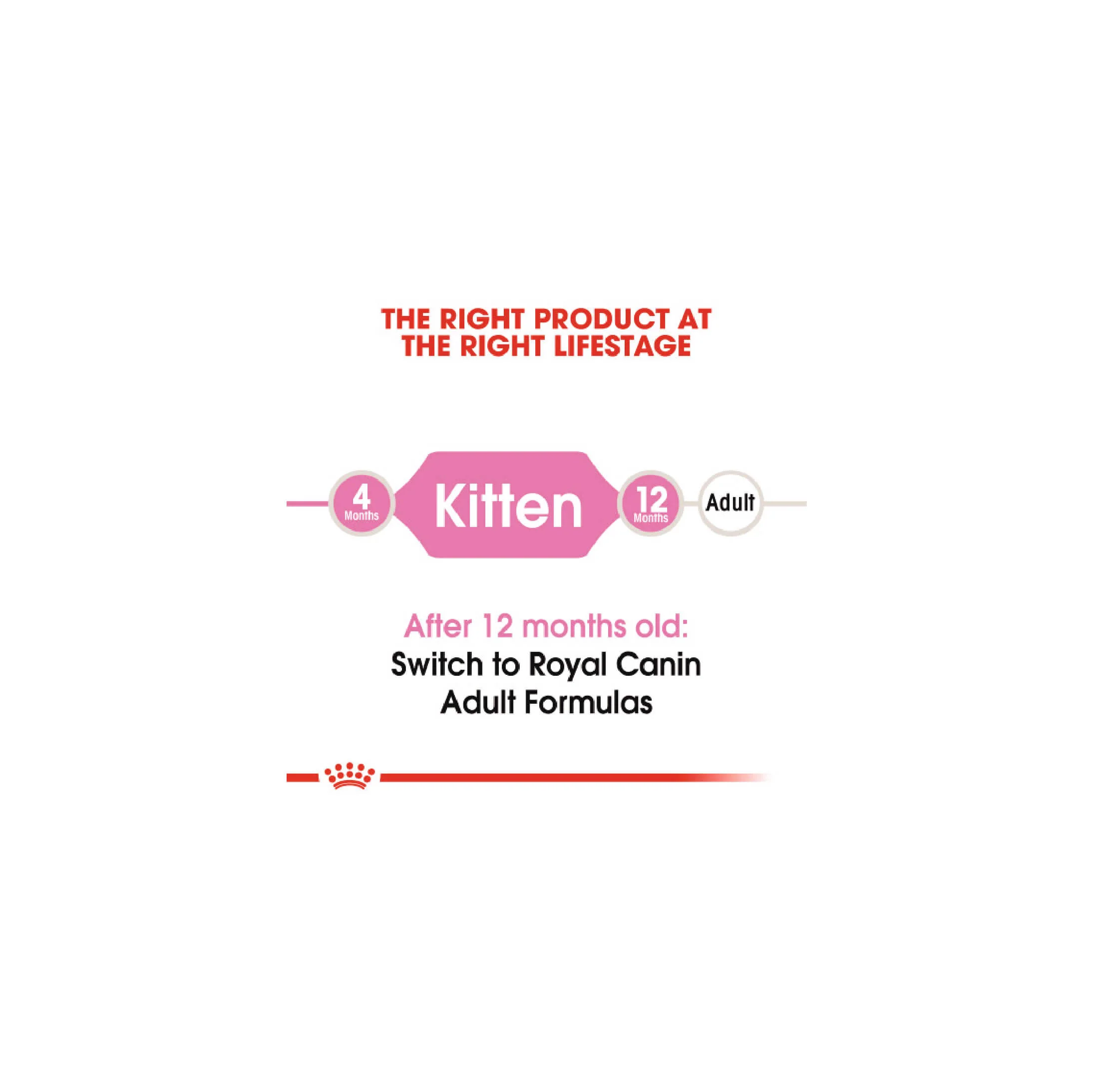 Kitten 2nd Age Dry Cat Food - Image 5