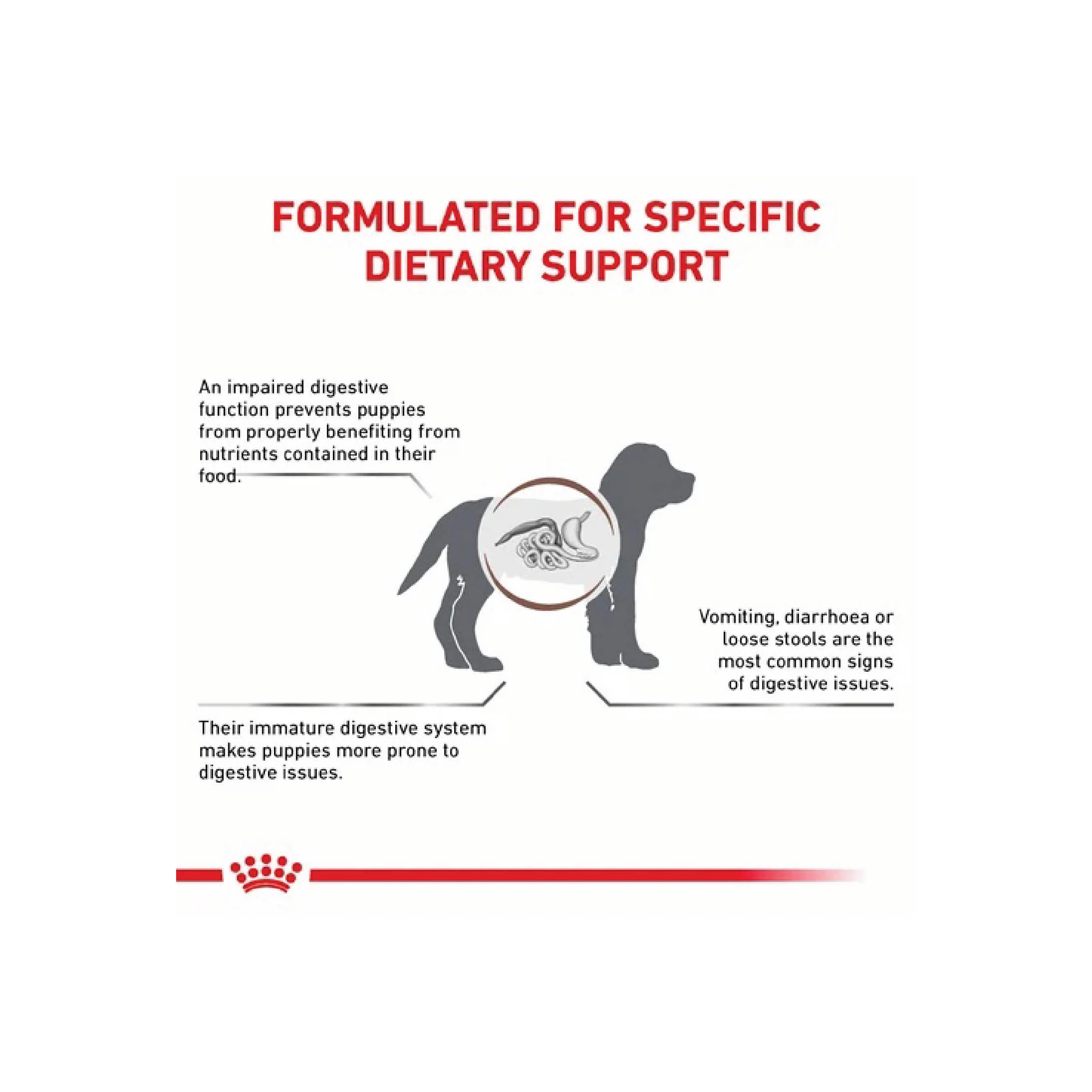 Gastrointestinal Puppy Dry Dog Food 2kg - Image 3