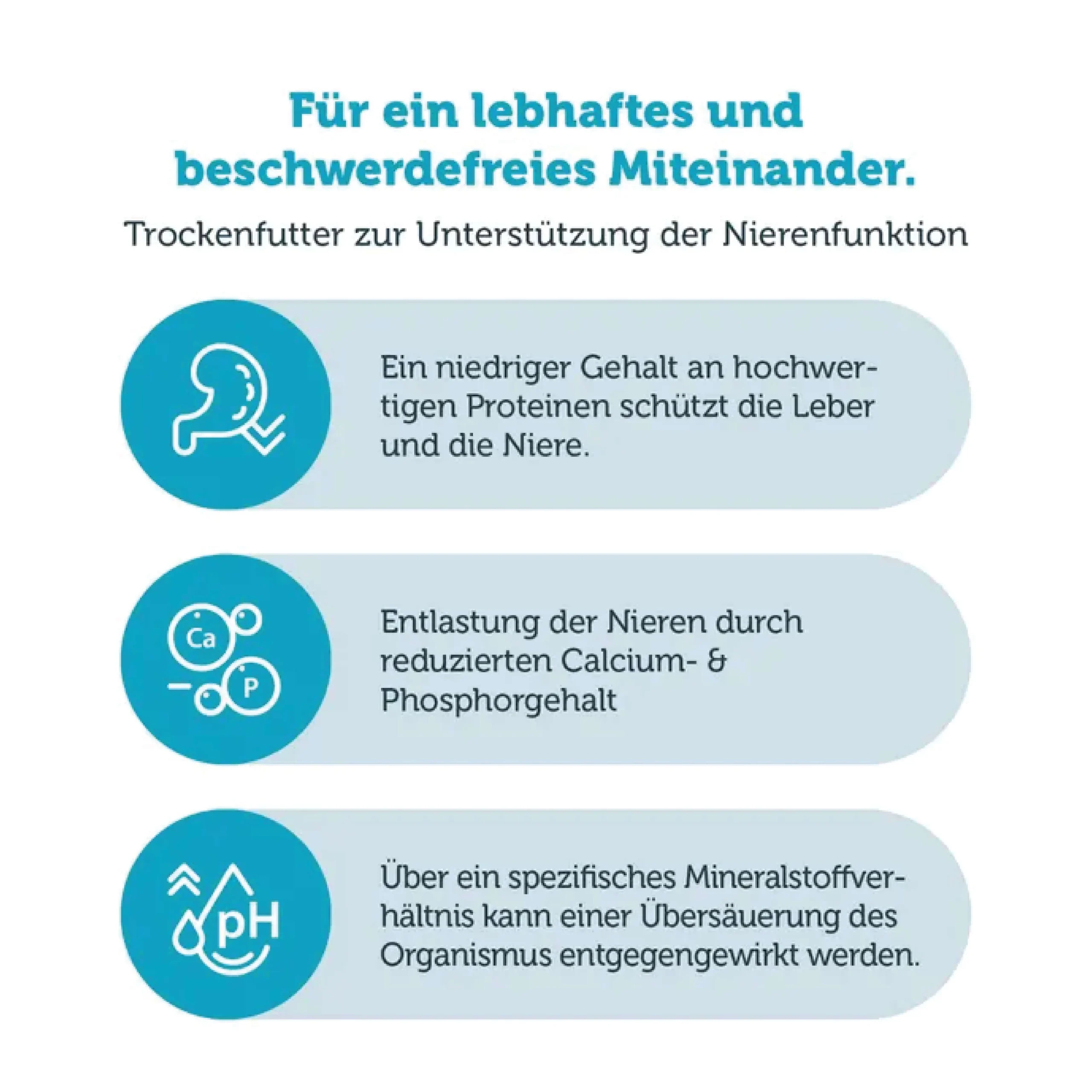 MERAVITAL Renal Cat Food - Image 5